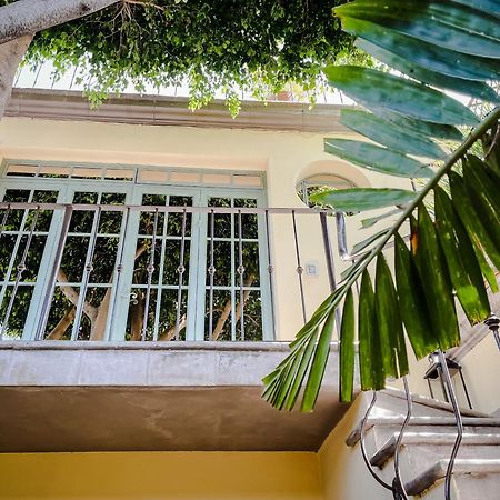 Casa Florida Bed & Breakfast San Miguel de Allende Luaran gambar