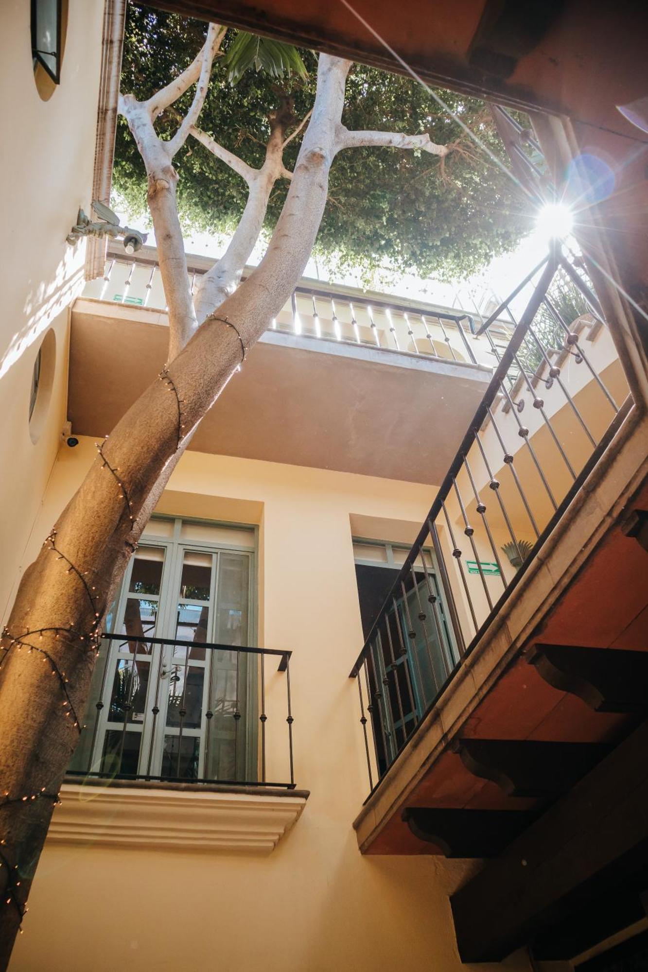 Casa Florida Bed & Breakfast San Miguel de Allende Luaran gambar