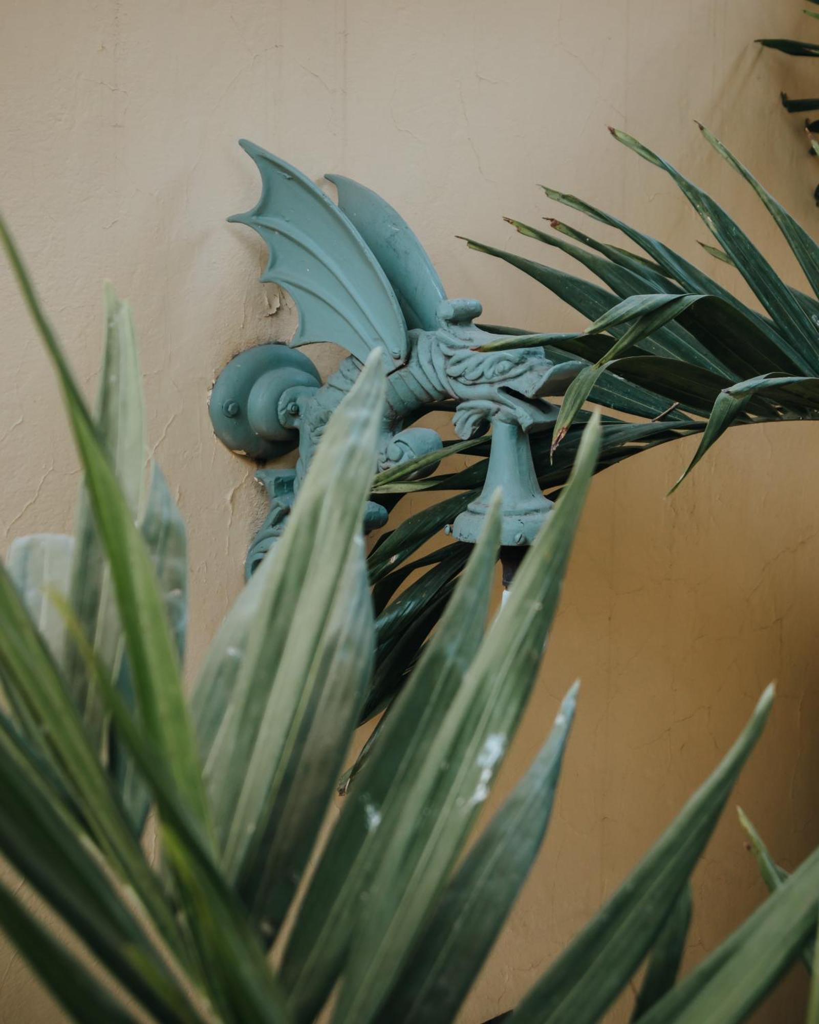 Casa Florida Bed & Breakfast San Miguel de Allende Luaran gambar